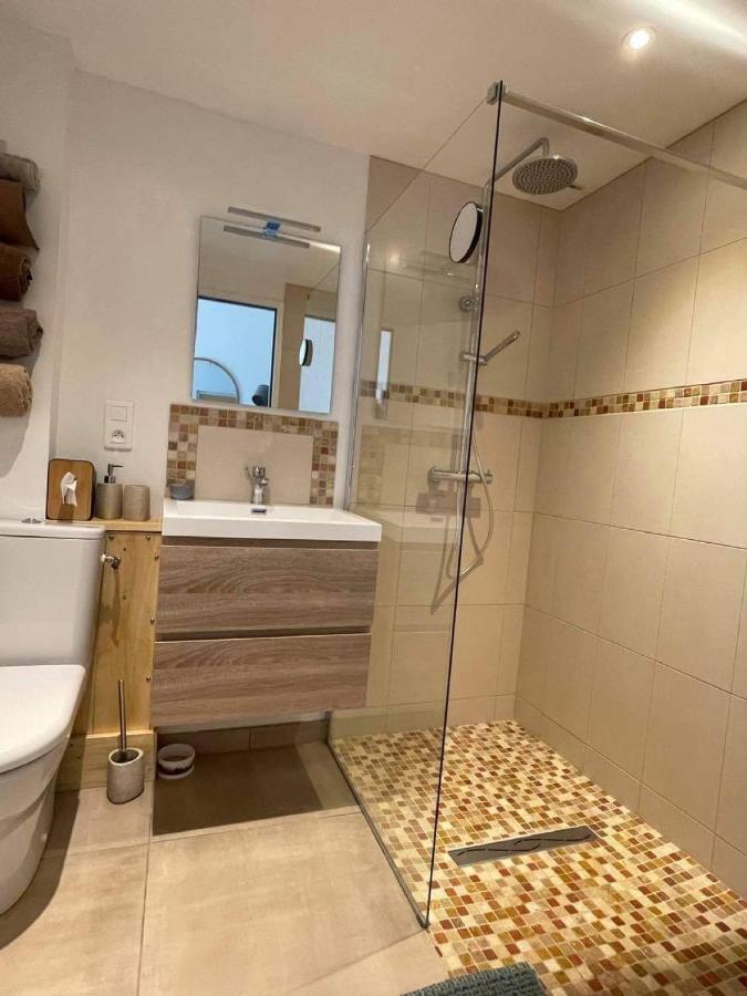 Chez Brunet Chambres D'Hotes Et Gite Lagraulet-du-Gers 外观 照片