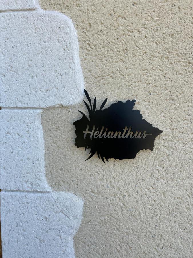 Chez Brunet Chambres D'Hotes Et Gite Lagraulet-du-Gers 外观 照片